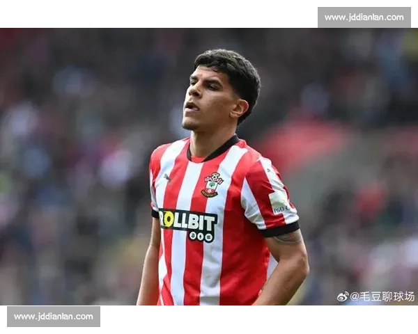 海纳力挺赫内斯：马特乌斯的转会费言论荒谬且不负责任